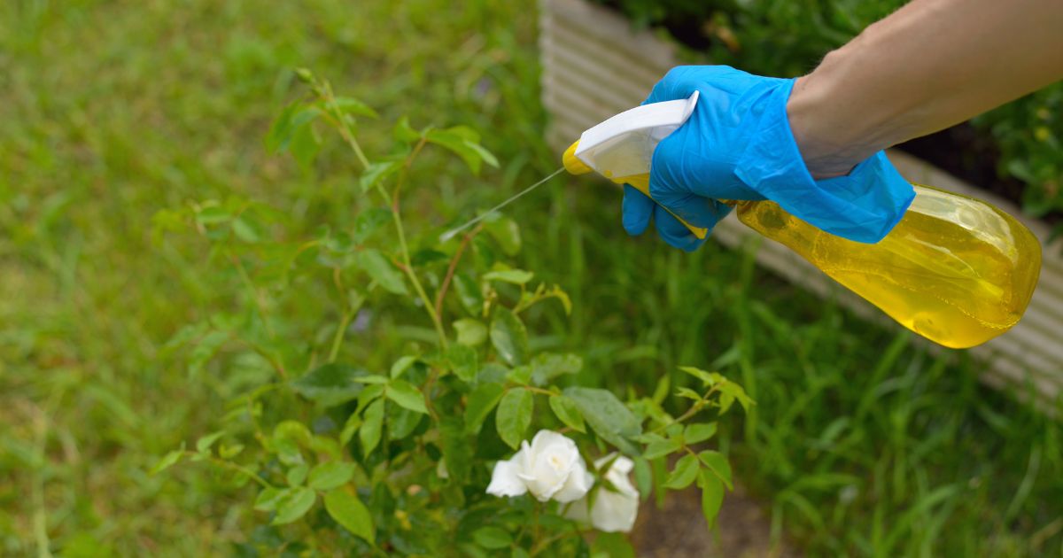 pesticide exposure